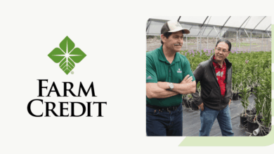 Credit Builder: Building Strong Credit Foundations