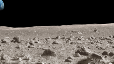 Unlock Your Potential With Experian Boost